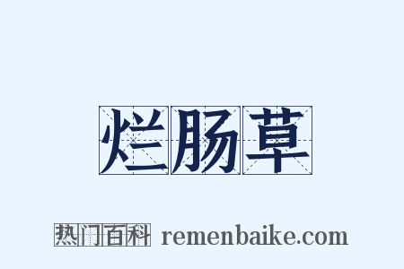 烂肠草是什么意思的图片